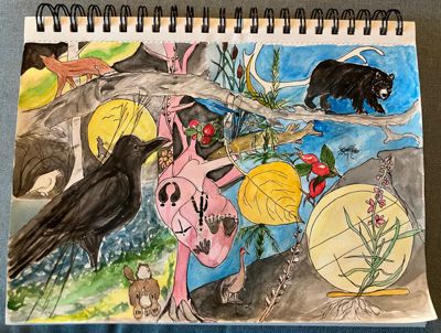 Sketch Book
